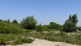 Aste giudiziarie immobiliari online - 5.0