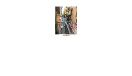 Aste giudiziarie immobiliari online - 12.0