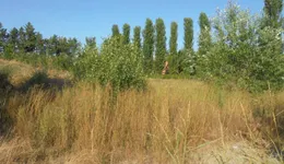 Aste giudiziarie immobiliari online - 3.0