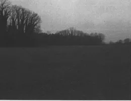 Aste giudiziarie immobiliari online - 3.0