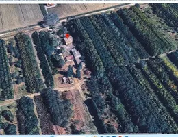 Aste giudiziarie immobiliari online - 5.0