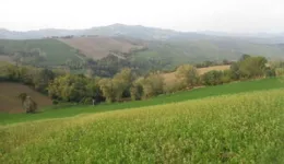 Aste giudiziarie immobiliari online - 5.0