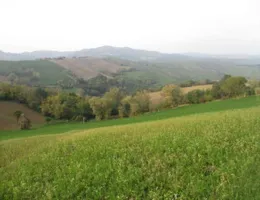 Aste giudiziarie immobiliari online - 11.0