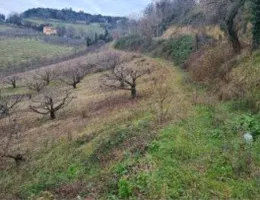 Aste giudiziarie immobiliari online - 5.0