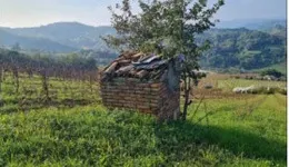 Aste giudiziarie immobiliari online - 5.0