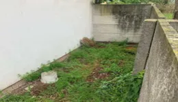 Aste giudiziarie immobiliari online - 2.0