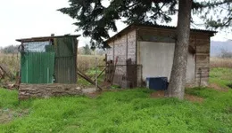 Aste giudiziarie immobiliari online - 8.0