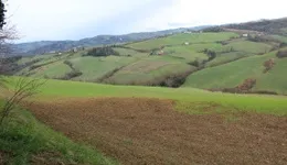 Aste giudiziarie immobiliari online - 4.0