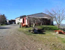 Aste giudiziarie immobiliari online - 9.0