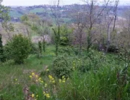 Aste giudiziarie immobiliari online - 11.0