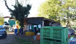 Aste giudiziarie immobiliari online - 10.0