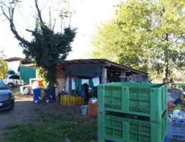 Aste giudiziarie immobiliari online - 10.0