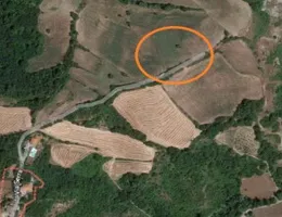 Aste giudiziarie immobiliari online - 12.0