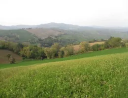 Aste giudiziarie immobiliari online - 9.0