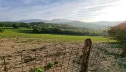 Aste giudiziarie immobiliari online - 4.0