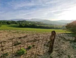 Aste giudiziarie immobiliari online - 10.0