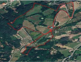 Aste giudiziarie immobiliari online - 11.0