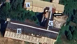 Aste giudiziarie immobiliari online - 11.0