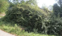 Aste giudiziarie immobiliari online - 6.0