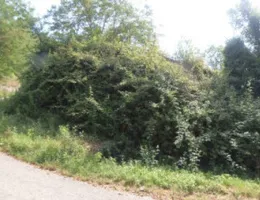 Aste giudiziarie immobiliari online - 6.0