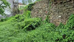 Aste giudiziarie immobiliari online - 11.0