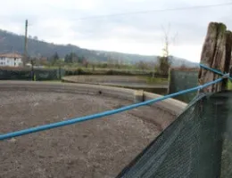 Aste giudiziarie immobiliari online - 1.0