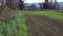 Aste giudiziarie immobiliari online - 3.0