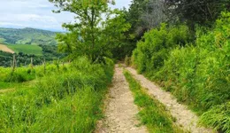 Aste giudiziarie immobiliari online - 12.0