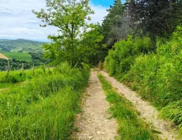 Aste giudiziarie immobiliari online - 12.0