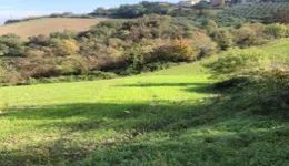 Aste giudiziarie immobiliari online - 8.0