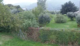 Aste giudiziarie immobiliari online - 7.0