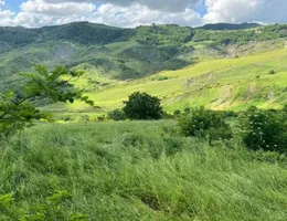 Aste giudiziarie immobiliari online - 3.0