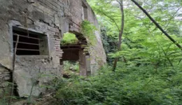 Aste giudiziarie immobiliari online - 8.0