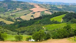 Aste giudiziarie immobiliari online - 7.0