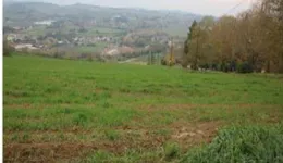 Aste giudiziarie immobiliari online - 4.0