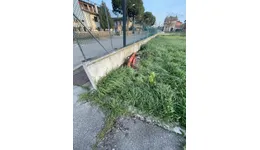 Aste giudiziarie immobiliari online - 1.0