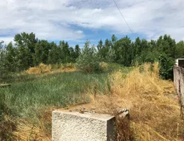 Aste giudiziarie immobiliari online - 2.0