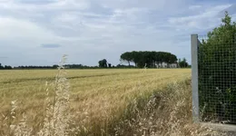 Aste giudiziarie immobiliari online - 6.0