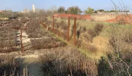 Aste giudiziarie immobiliari online - 6.0