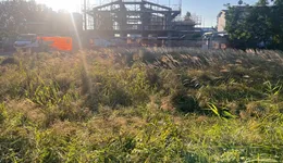 Aste giudiziarie immobiliari online - 3.0