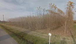 Aste giudiziarie immobiliari online - 3.0