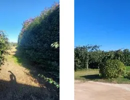 Aste giudiziarie immobiliari online - 6.0