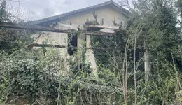 Aste giudiziarie immobiliari online - 11.0