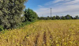 Aste giudiziarie immobiliari online - 5.0