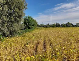Aste giudiziarie immobiliari online - 3.0