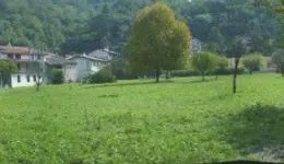 Aste giudiziarie immobiliari online - 3.0