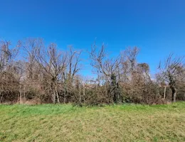 Aste giudiziarie immobiliari online - 3.0