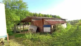 Aste giudiziarie immobiliari online - 6.0