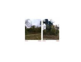 Aste giudiziarie immobiliari online - 6.0