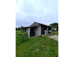 Aste giudiziarie immobiliari online - 4.0